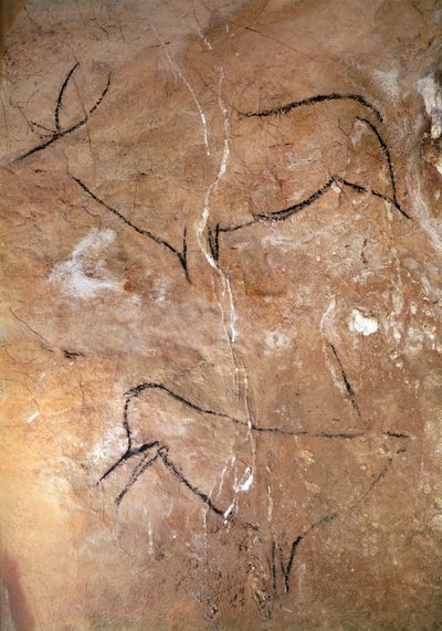 अल्टामिरा की गुफाओं से दो तख्त, c.15000 ईसा पूर्व (गुफा चित्र) द्वारा प्रागैतिहासिक
